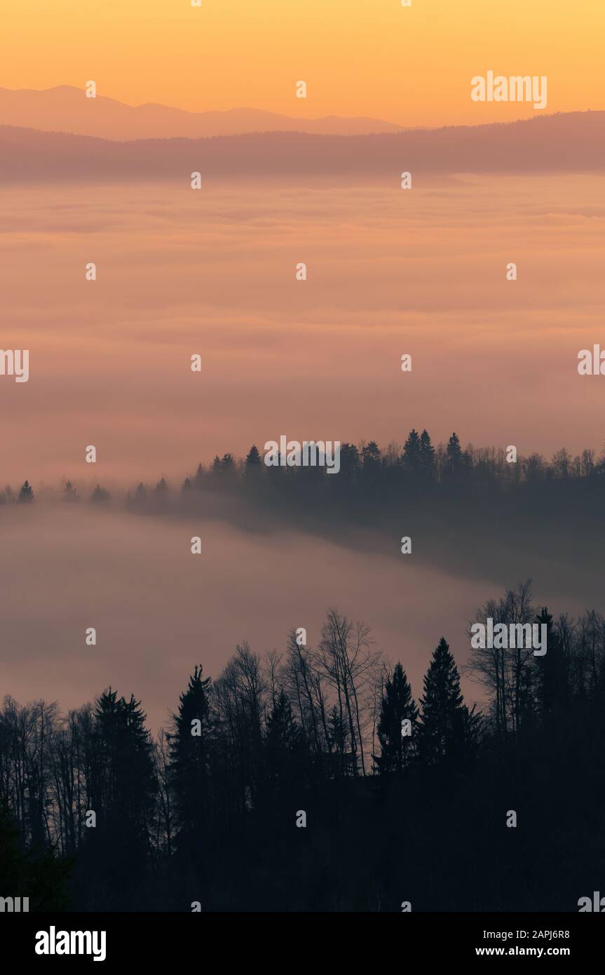 Vista di una valle in nebbia in una bella mattina presto inverno. Stagioni, escursioni, natura e condizioni atmosferiche Foto Stock