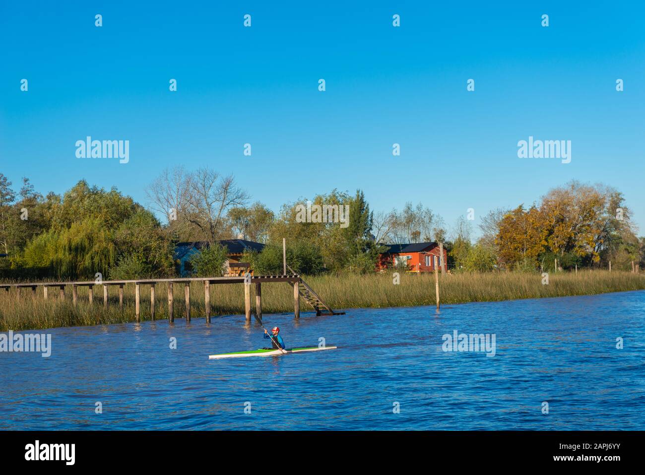 Tigre, La Plata Delta, Grande Buenos Aires, Argentina, America Latina Foto Stock