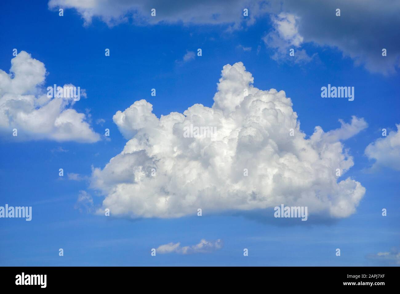 Cielo blu con cumuli bianco nuvola mediocre che appartiene alle nuvole di basso livello Foto Stock