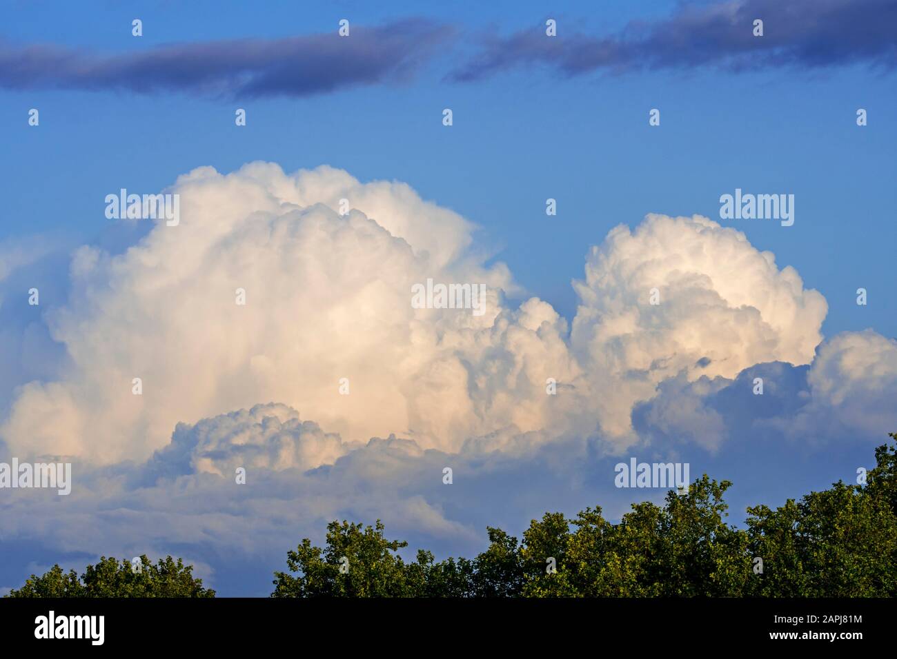 Sviluppo Cumulus congestus nubi noto anche come torreggiante cumulus nube Foto Stock