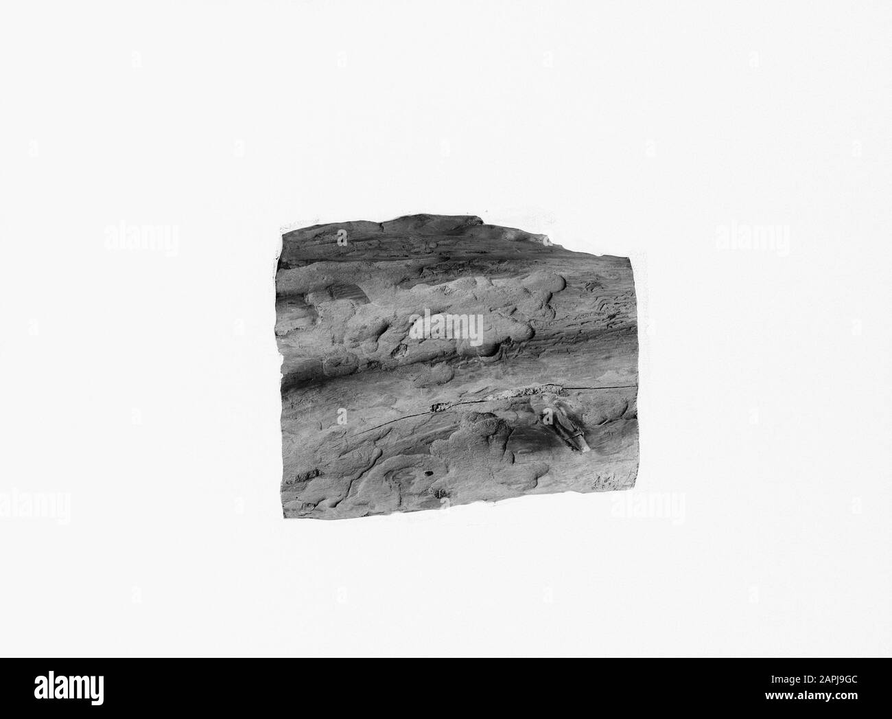 Protezione della foresta, malattie, parotite, accesso di Bock, moncone di pino Data: Parole Chiave dense: Protezione della foresta, parotite, malattie Nome Della Persona: Box-egangen, moncone di pino Foto Stock