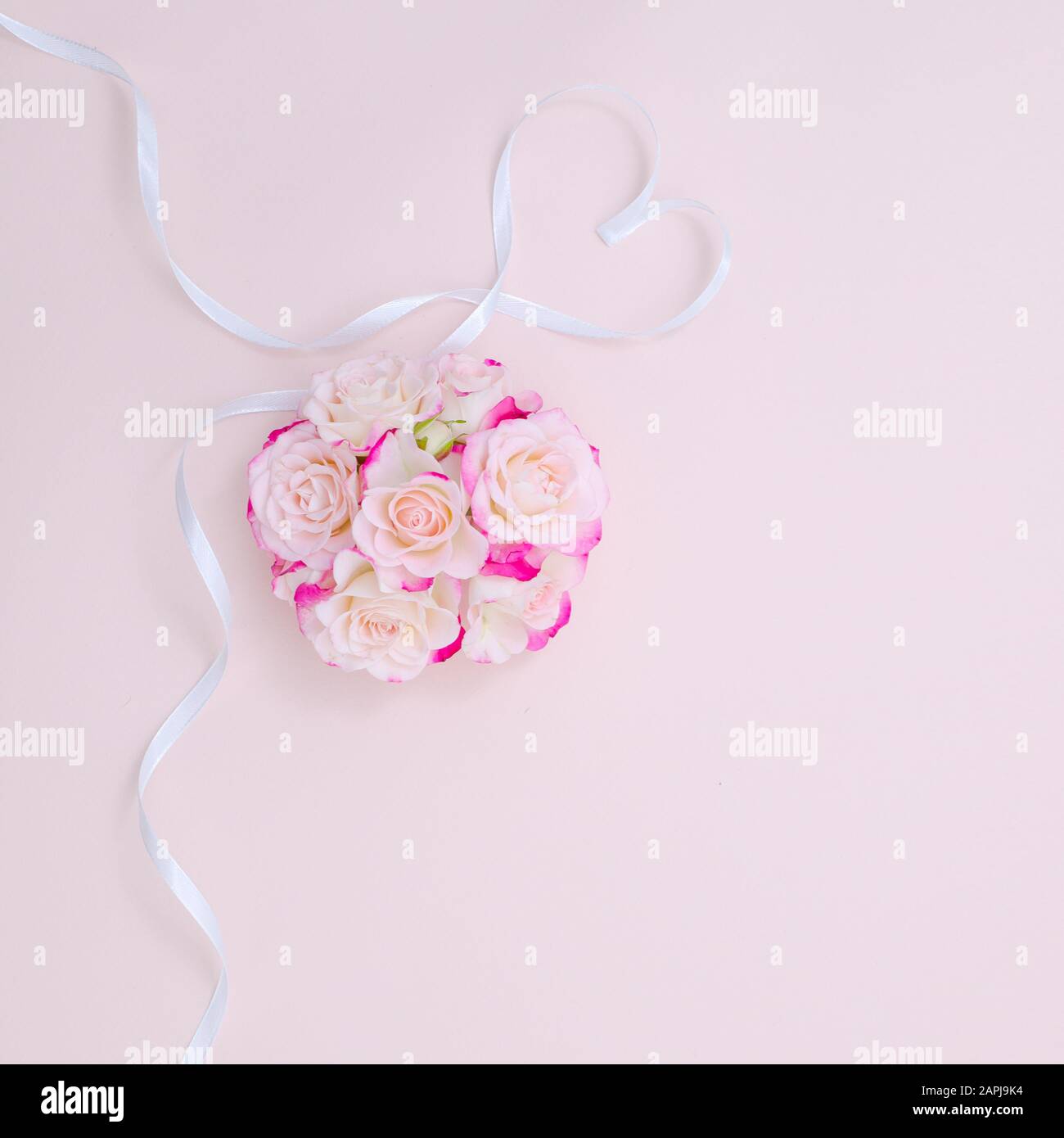 Struttura di rose rosa e cuore di nastro. Concetto di molla, disposizione piatta, spazio di copia. Composizione fiori di rosa per San Valentino, matrimonio, giorno delle donne, compleanno Foto Stock