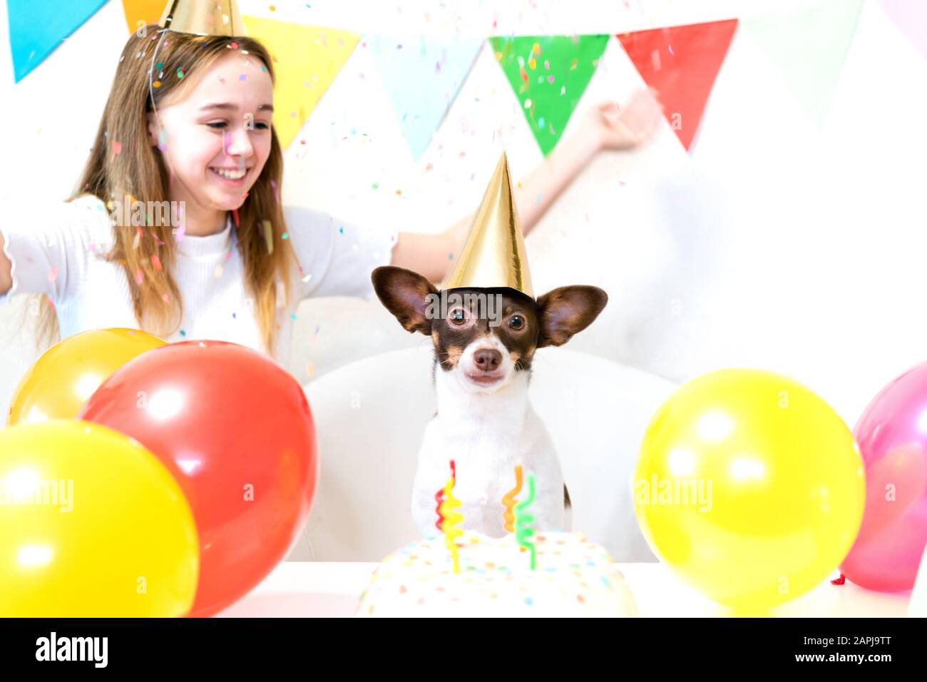 Carino piccolo cane divertente con una torta di compleanno e un cappello festa che celebra il compleanno con ragazza amante. Bella giovane donna e un cane in tappi di vacanza. Festa di compleanno del cane. Concetto di amicizia.. Foto Stock