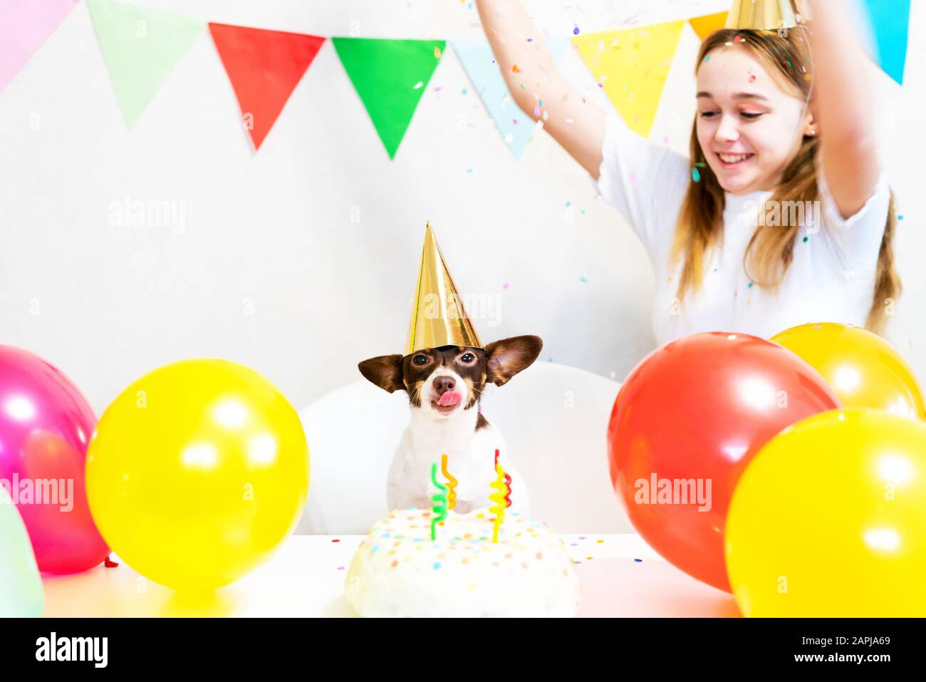 Carino piccolo cane divertente con una torta di compleanno e un cappello festa che celebra il compleanno con ragazza amante. Bella giovane donna e un cane in tappi di vacanza. Festa di compleanno del cane. Concetto di amicizia.. Foto Stock