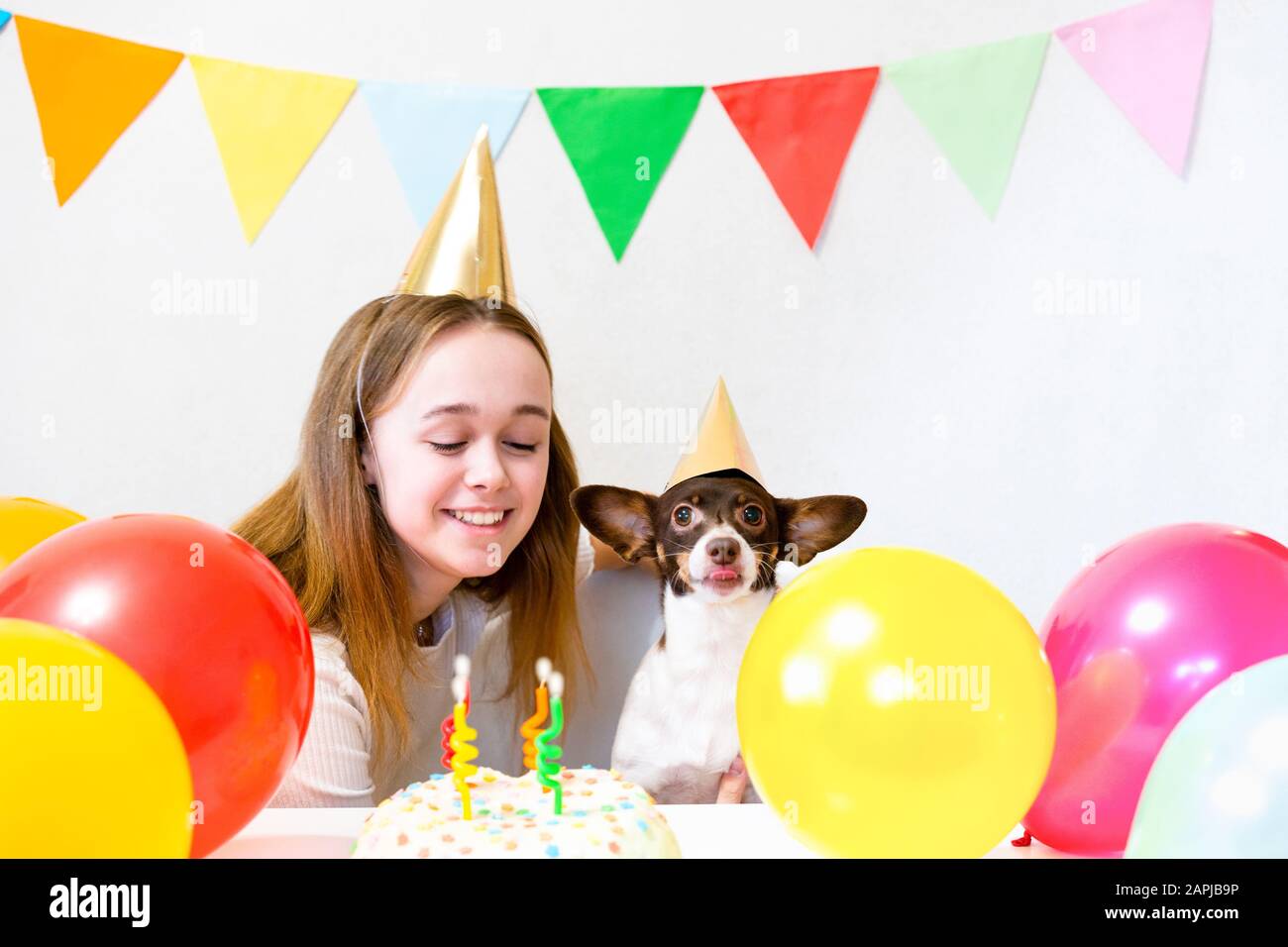 Carino piccolo cane divertente con una torta di compleanno e un cappello festa che celebra il compleanno con ragazza amante. Bella giovane donna e un cane in tappi di vacanza. Festa di compleanno del cane. Concetto di amicizia.. Foto Stock