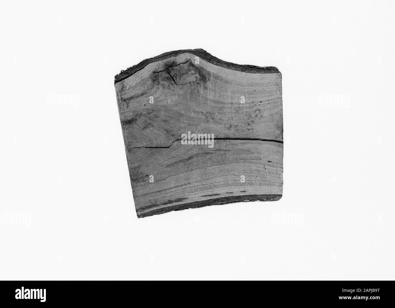 Protezione della foresta, ferite da potatura surcresciute, quercia Data: Parole Chiave dense: Protezione della foresta, ferite da potatura surcresciute Nome personale: Quercia Foto Stock