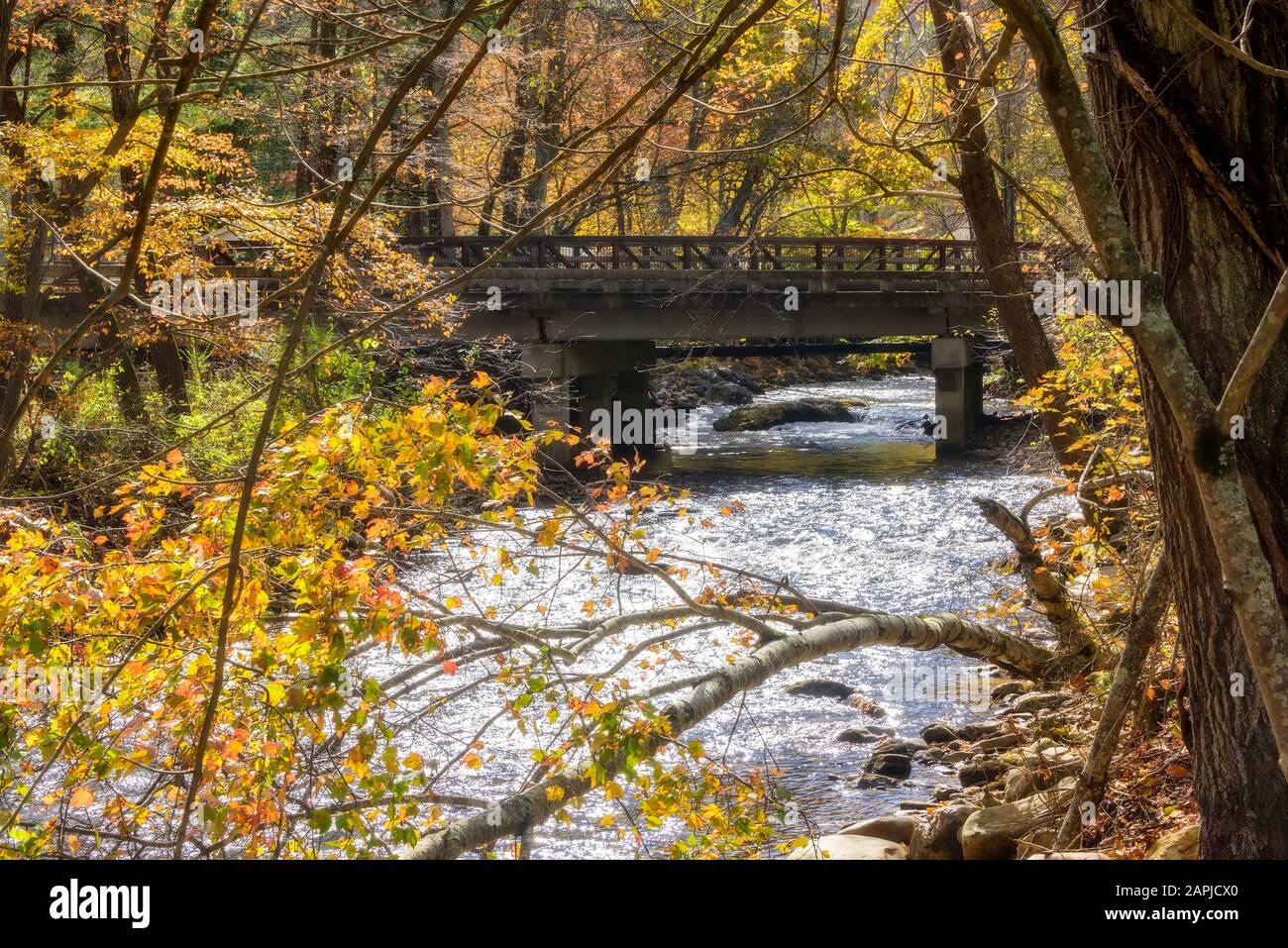 Ponte su un ruscello in esecuzione nella stagione di autunno in Carolina del Nord Foto Stock