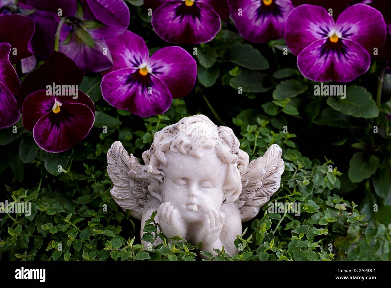 piccola figura di un angelo che giace e sogna tra la pianta viola e verde Foto Stock