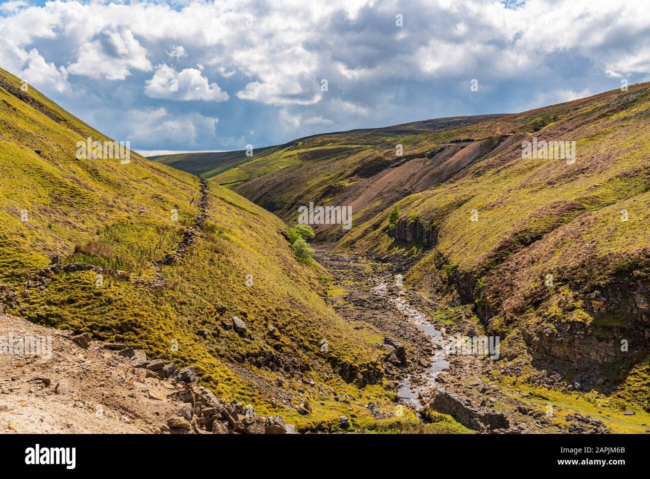 Yorkshire Dales paesaggio con il Gunnerside Beck, North Yorkshire, Inghilterra, Regno Unito Foto Stock