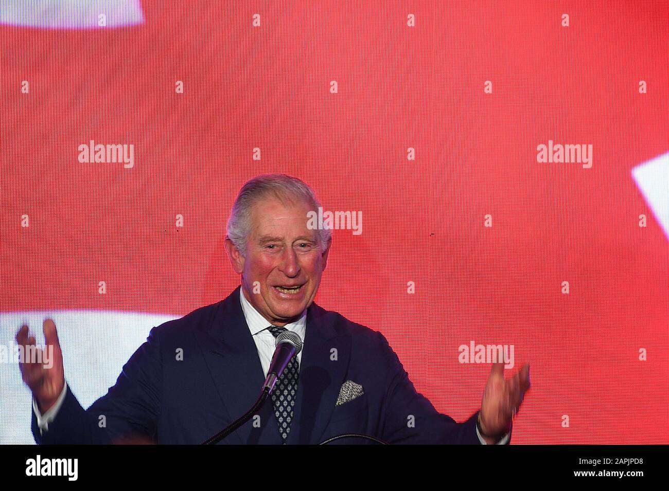 Il Principe di Galles parla alla reception della residenza dell'ambasciatore a Tel Aviv, il primo giorno della sua visita in Israele e nei territori palestinesi occupati. Foto Stock