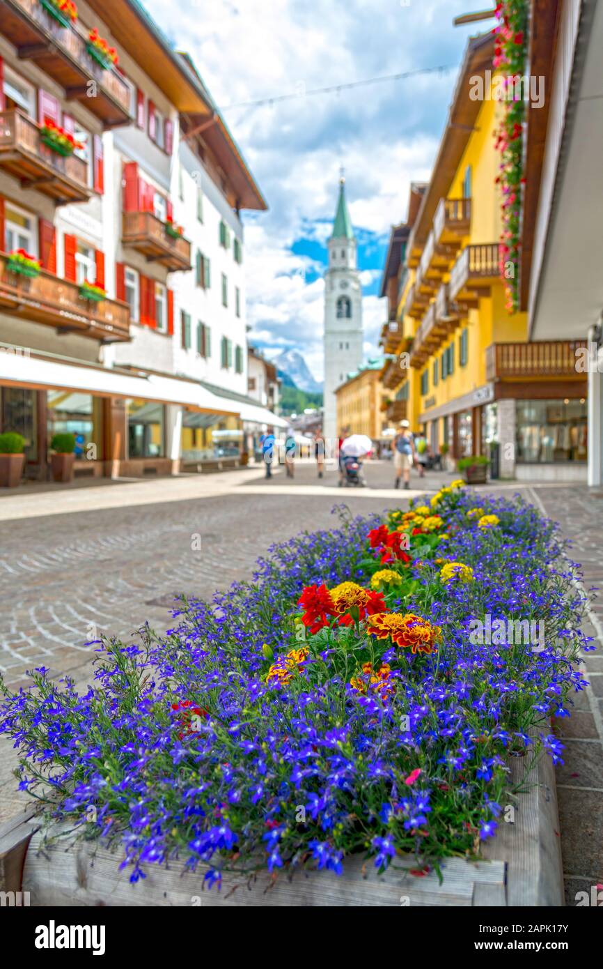 Fiori sulla famosa località Cortina D'Ampezzo strada principale della catena montuosa delle Dolomiti, Italia Foto Stock