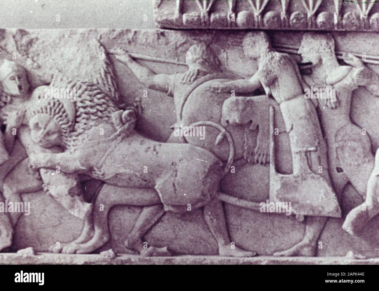 Grecia Descrizione: Dettaglio di un fregio con i guerrieri in un carro in una battaglia dove un leone attacca qualcuno. Annotazione: Potrebbe essere una scena di caccia Data: 1 gennaio 1930 Località: Grecia Parole Chiave: Archeologia, sculture, guerrieri, leoni Foto Stock