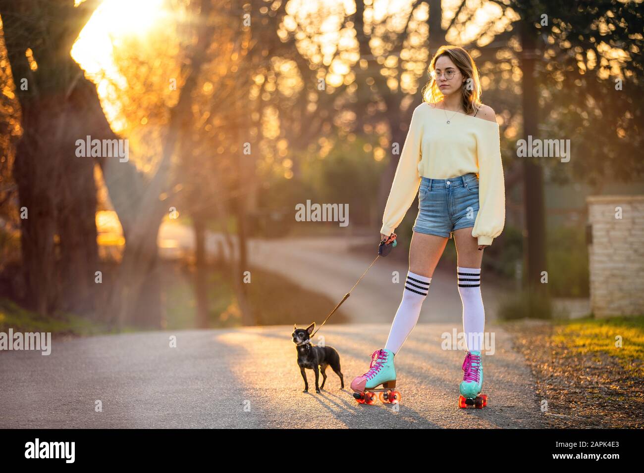 Divertente ritratto di un proprietario eccentrico unico animale domestico su pattini a rotelle camminare un piccolo cane cihuahua cucciolo sulla strada del quartiere in colorati gambaletti alto ginocchio Foto Stock