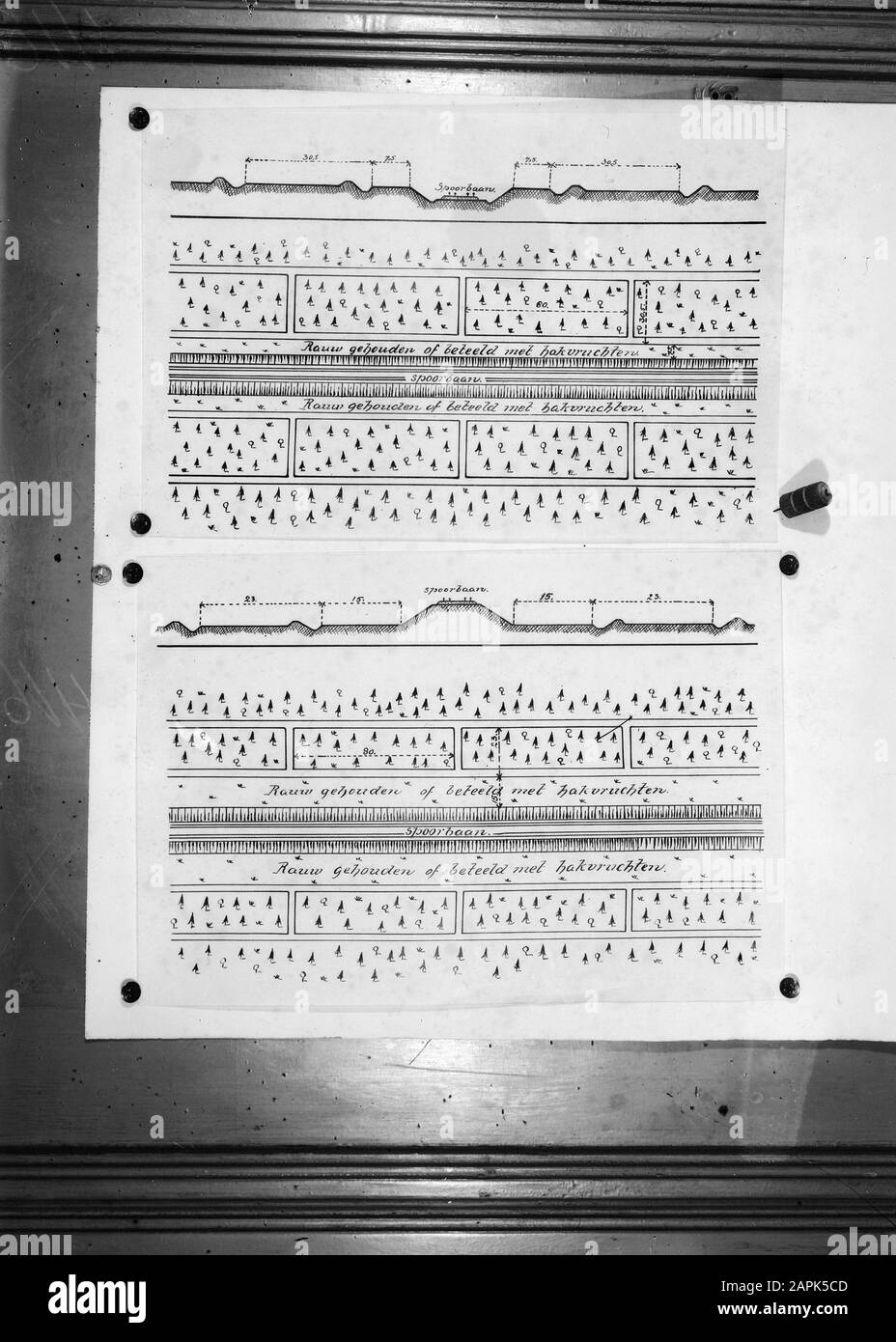 Incendi boschivi, giriti tagliafuoco, linee ferroviarie, disegni Data: Parole Chiave non date: Incendi boschivi, giriti tagliafuoco, linee ferroviarie, disegni Foto Stock
