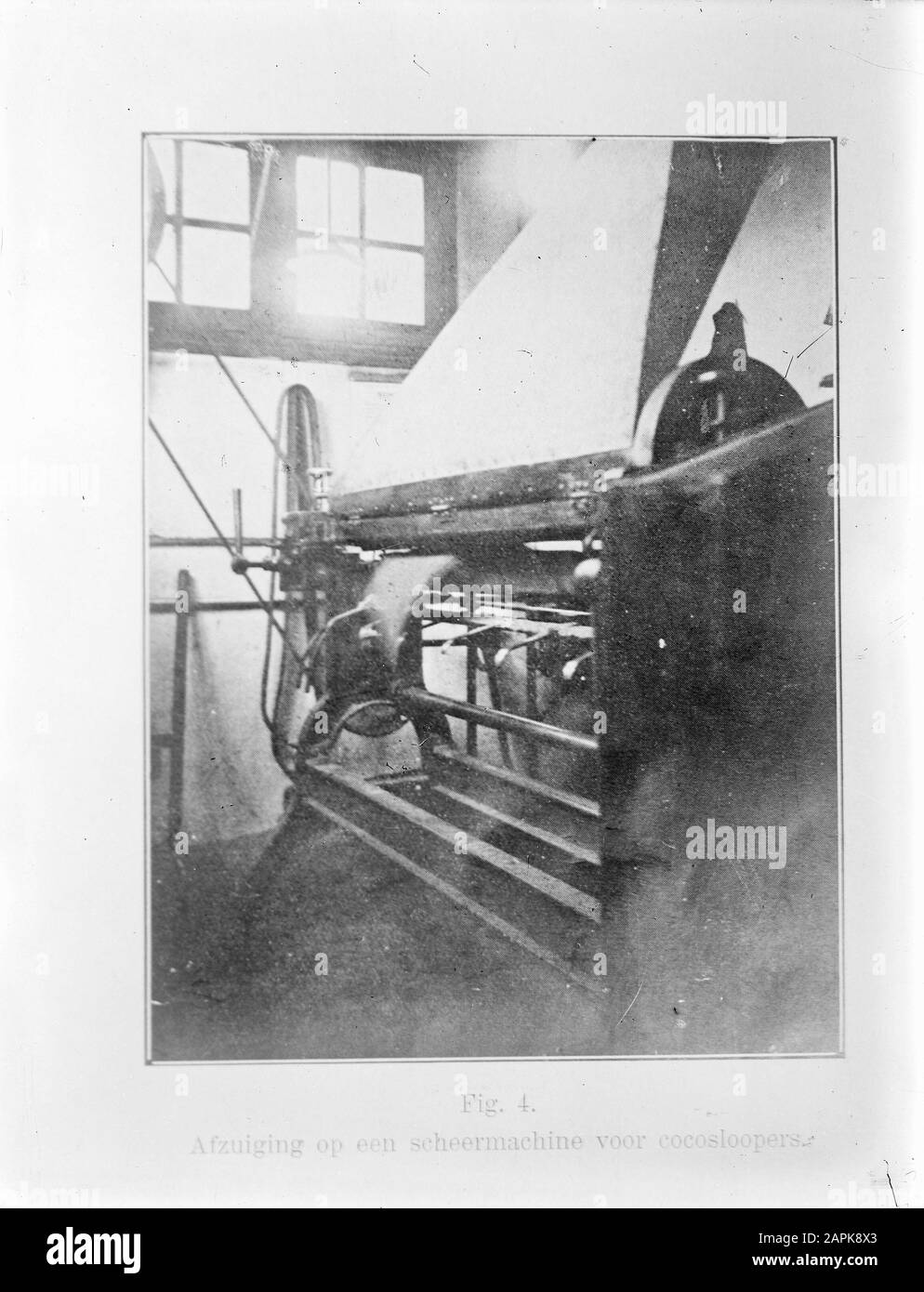 Estrazione 9x12 su una macchina da barba per Coconut loper Data: Parole Chiave non date: Estrattori, macchine da rasatura Foto Stock