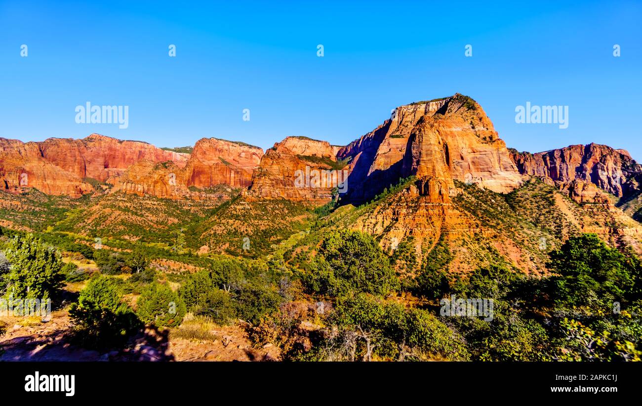 Vista su Nagunt Mesa, Shuntavi Butte e altre Cime della roccia rossa nel Kolob Canyon, Zion National Park, Utah, Stati Uniti. Vista dal Timber Creek Si Affaccia Foto Stock