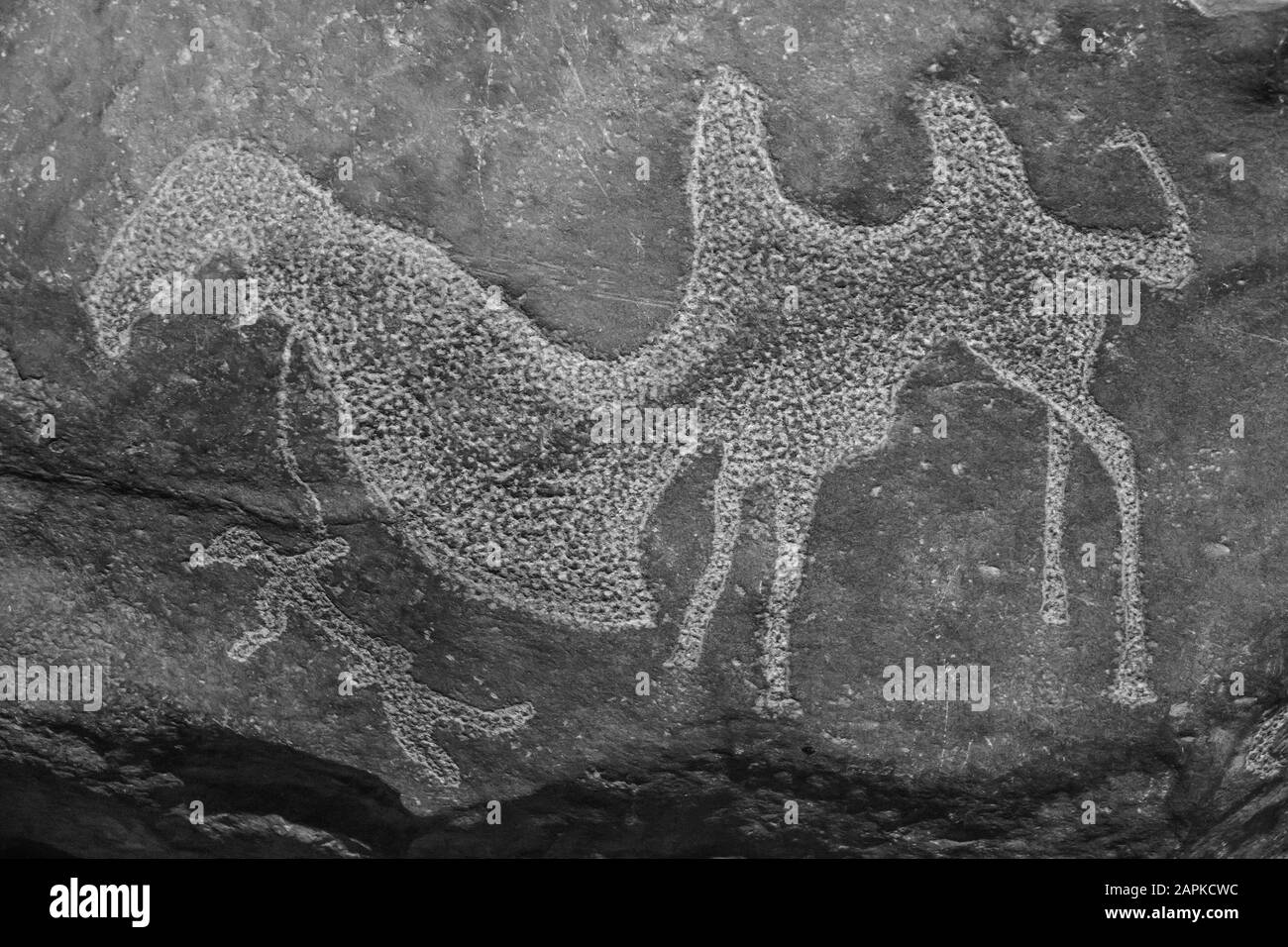 Scultura di roccia antica con uomo e cammello nel Museo degli Strumenti musicali kazako in Almaty Kazakhstan. Foto Stock