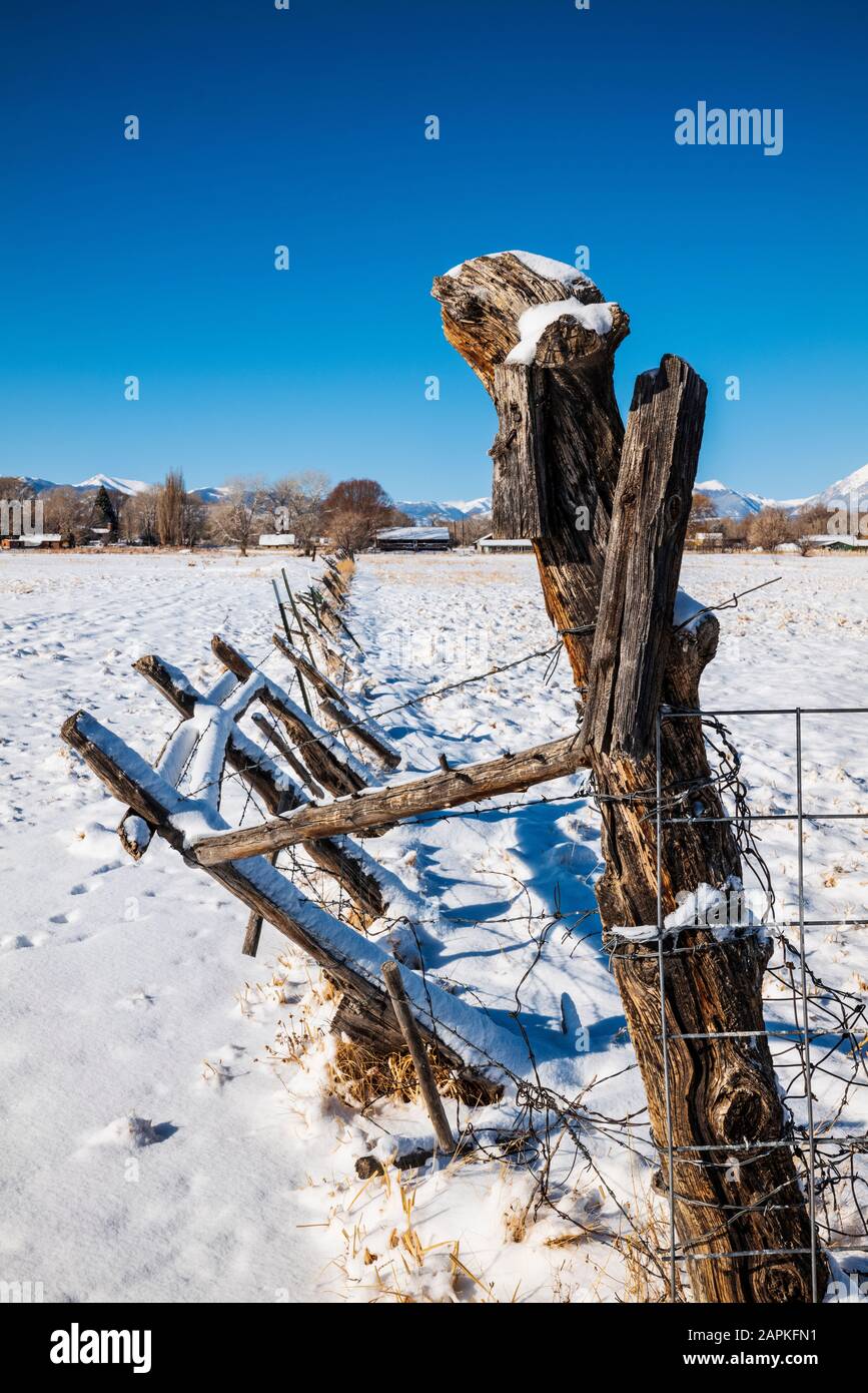 Filo spinato e recinzione di legno posti; coperta di neve pascoli; Ranch in Colorado centrale; USA Foto Stock