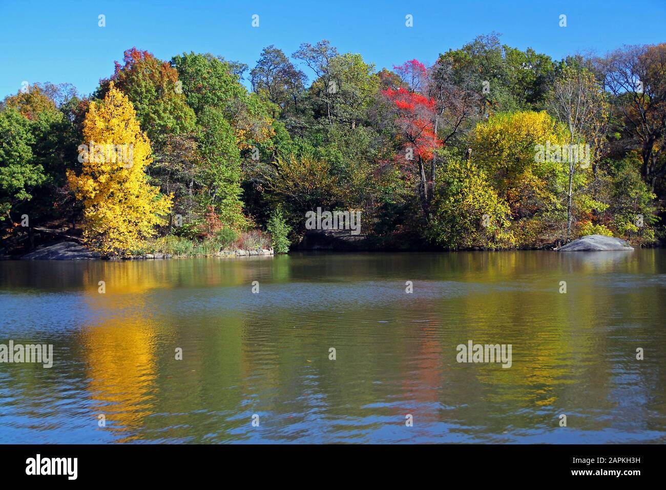 Il riflesso dei colori dell'autunno Foto Stock