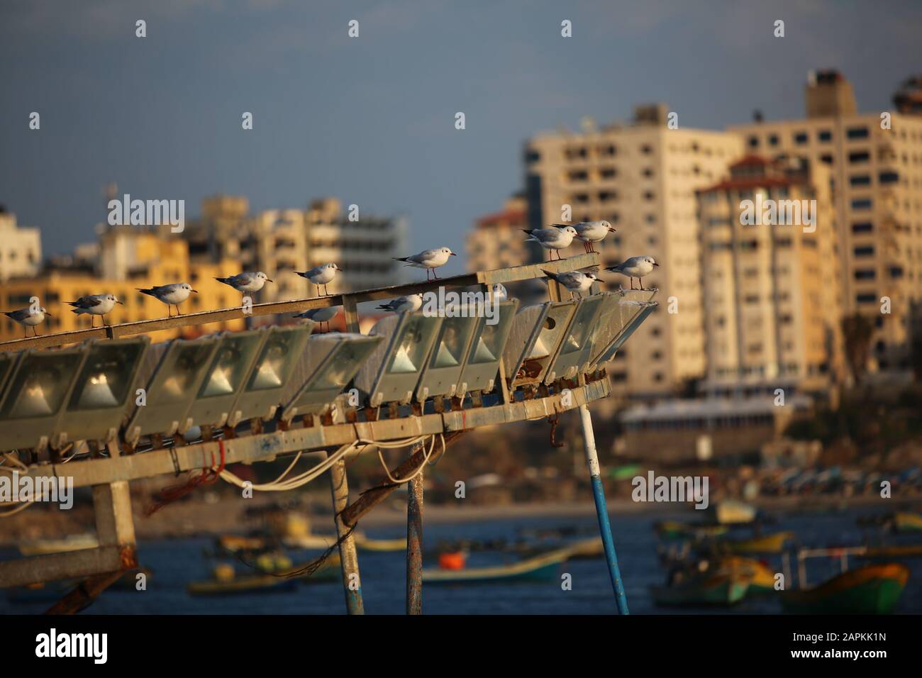 Gaza, La Striscia Di Gaza, La Palestina. 24th Gen 2020. Porto della città di Gaza. Credit: Majd Abed/Quds Net News/Zuma Wire/Alamy Live News Foto Stock