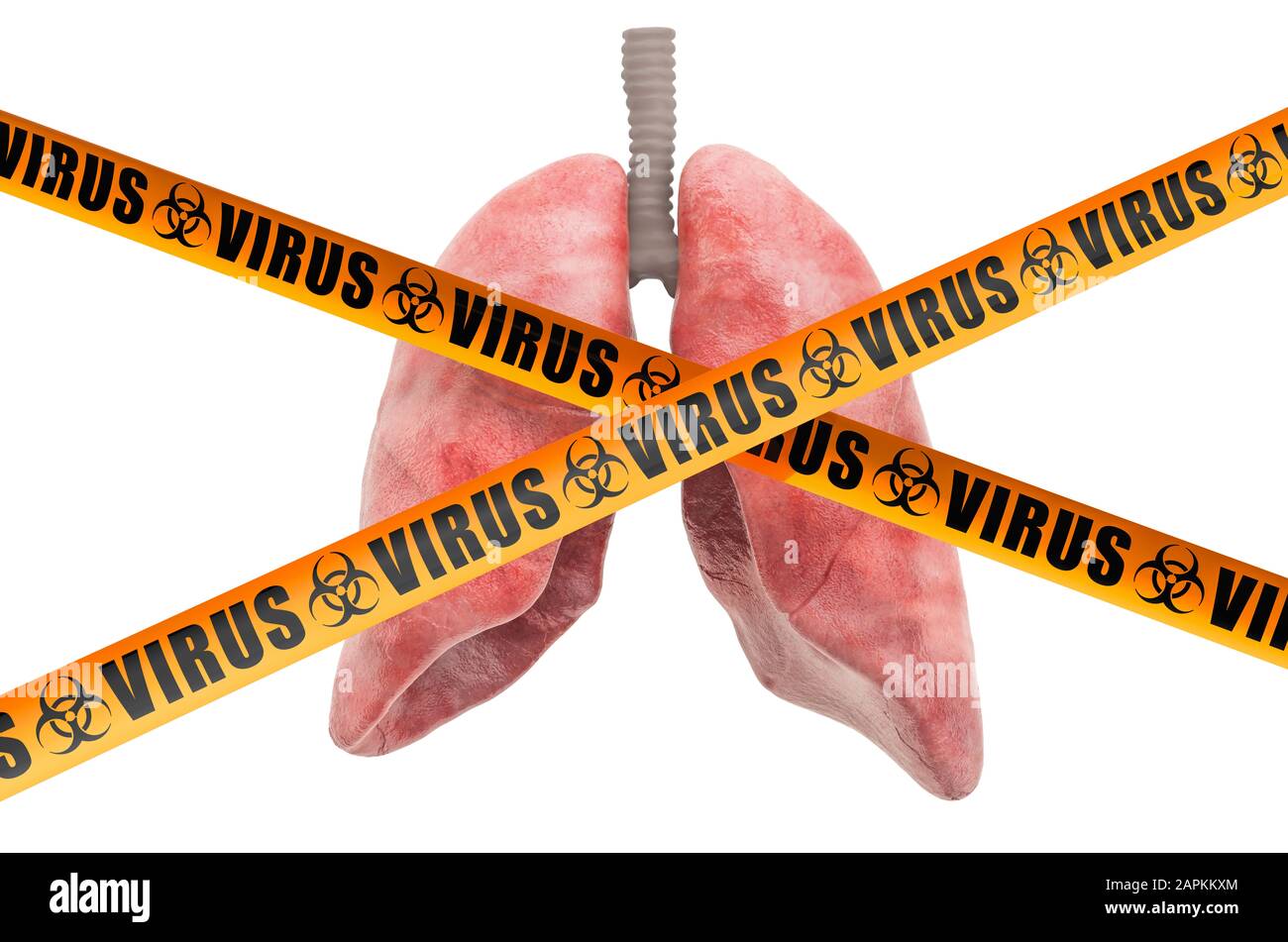 Concetto di virus polmonari, rendering 3D isolato su sfondo bianco Foto Stock Concetto di virus polmonari, rendering 3D isolato su sfondo bianco Foto Stock