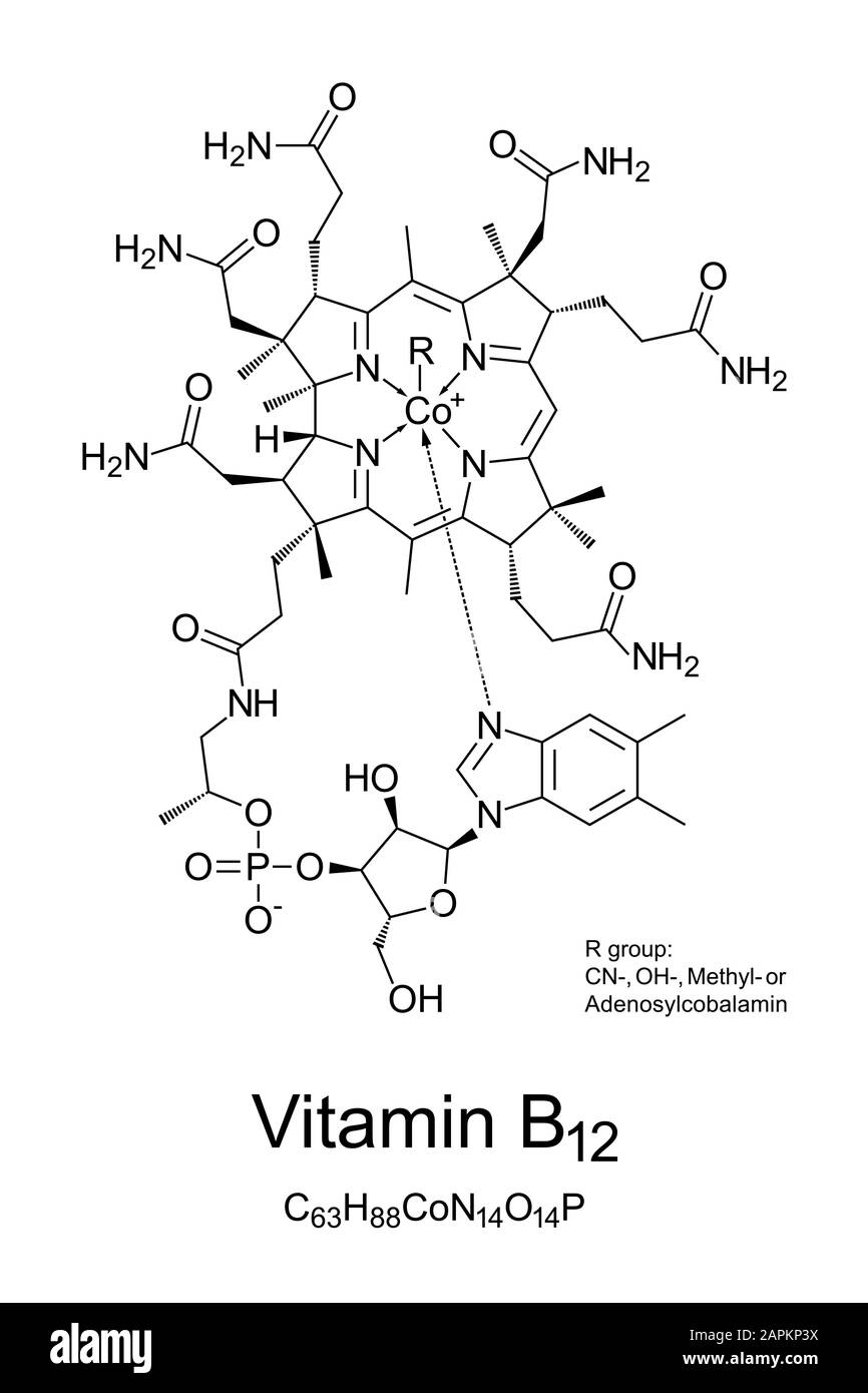 Vitamina B12, cobalamina, struttura chimica. Coinvolto nel metabolismo di ogni cellula del corpo umano. Foto Stock