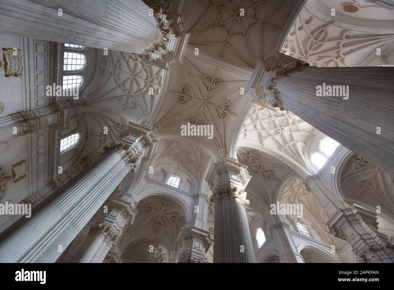 Spagna, Andalusia, Granada, vista a basso angolo delle colonne e del soffitto della cattedrale di Granada Foto Stock