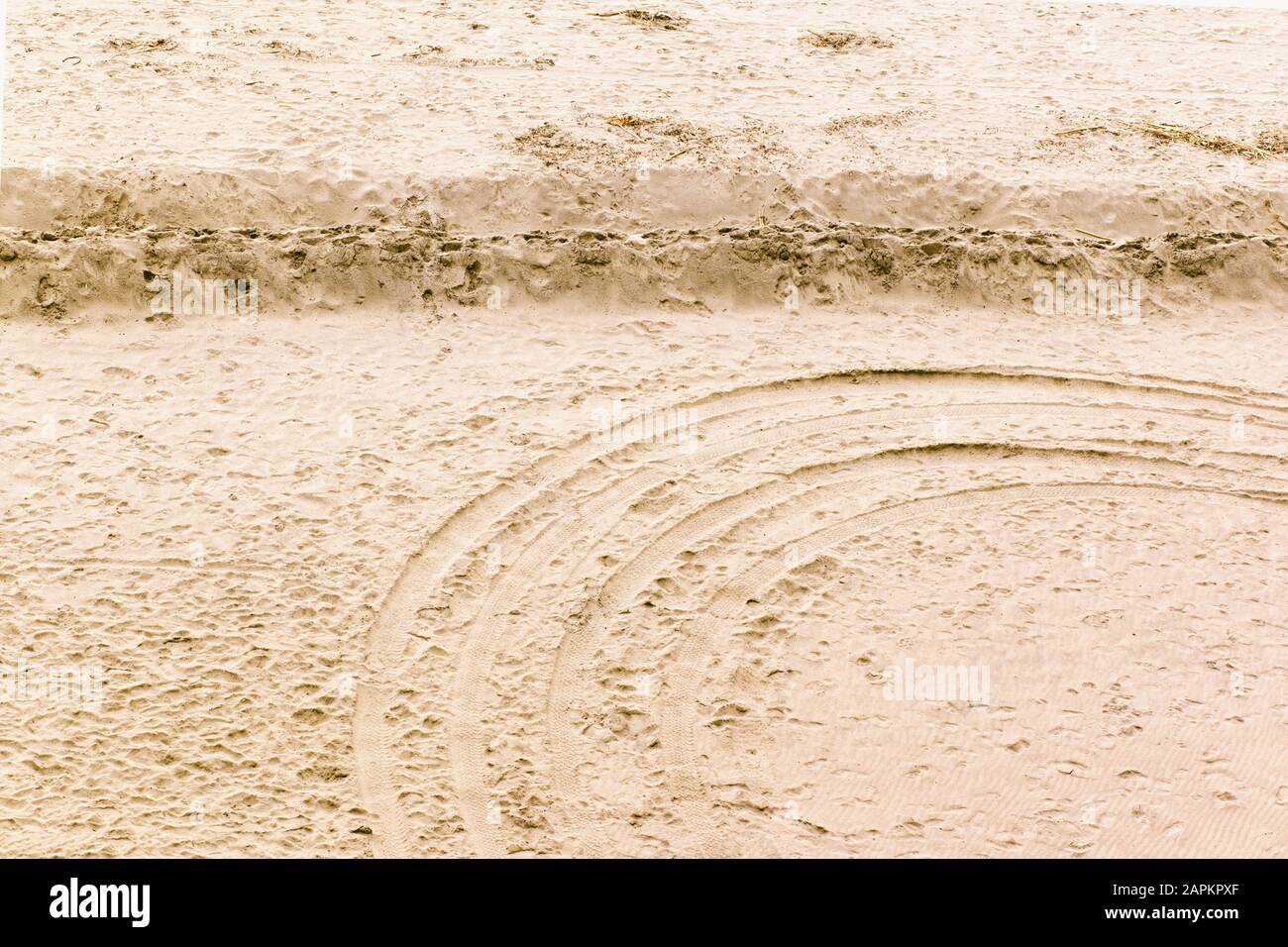 Spiral Pattern e Sand Wall su una spiaggia di sabbia dorata, a Santa Cruz, California, Stati Uniti Foto Stock