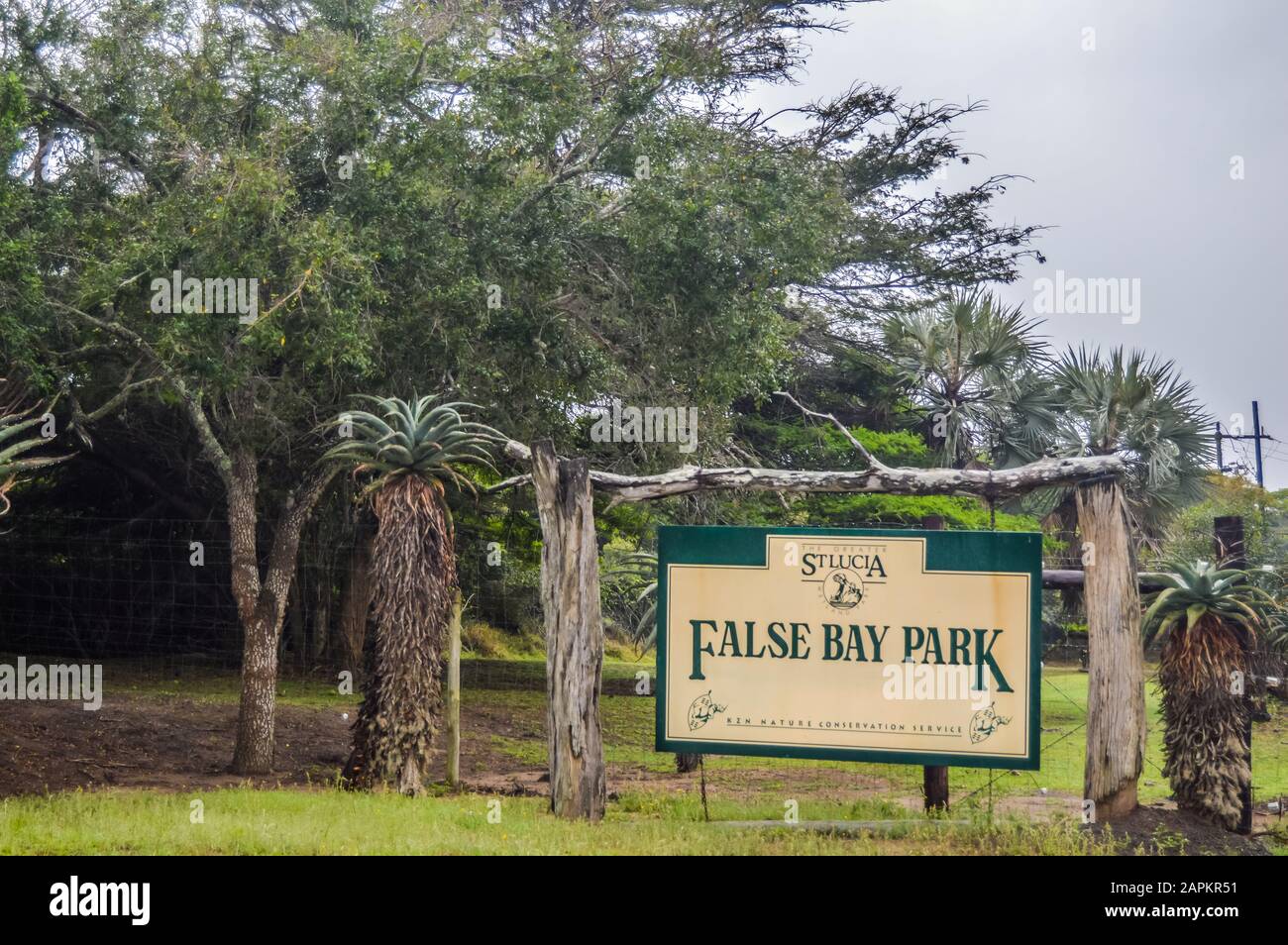 Verde e isolato False Bay park in zone umide Isimangaliso KZN in Sud Africa Foto Stock