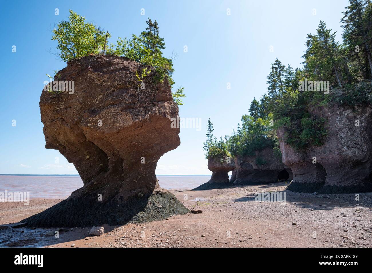 Canada, New Brunswick, Hopewell Rocks formazione a Bay of Fundy Foto Stock