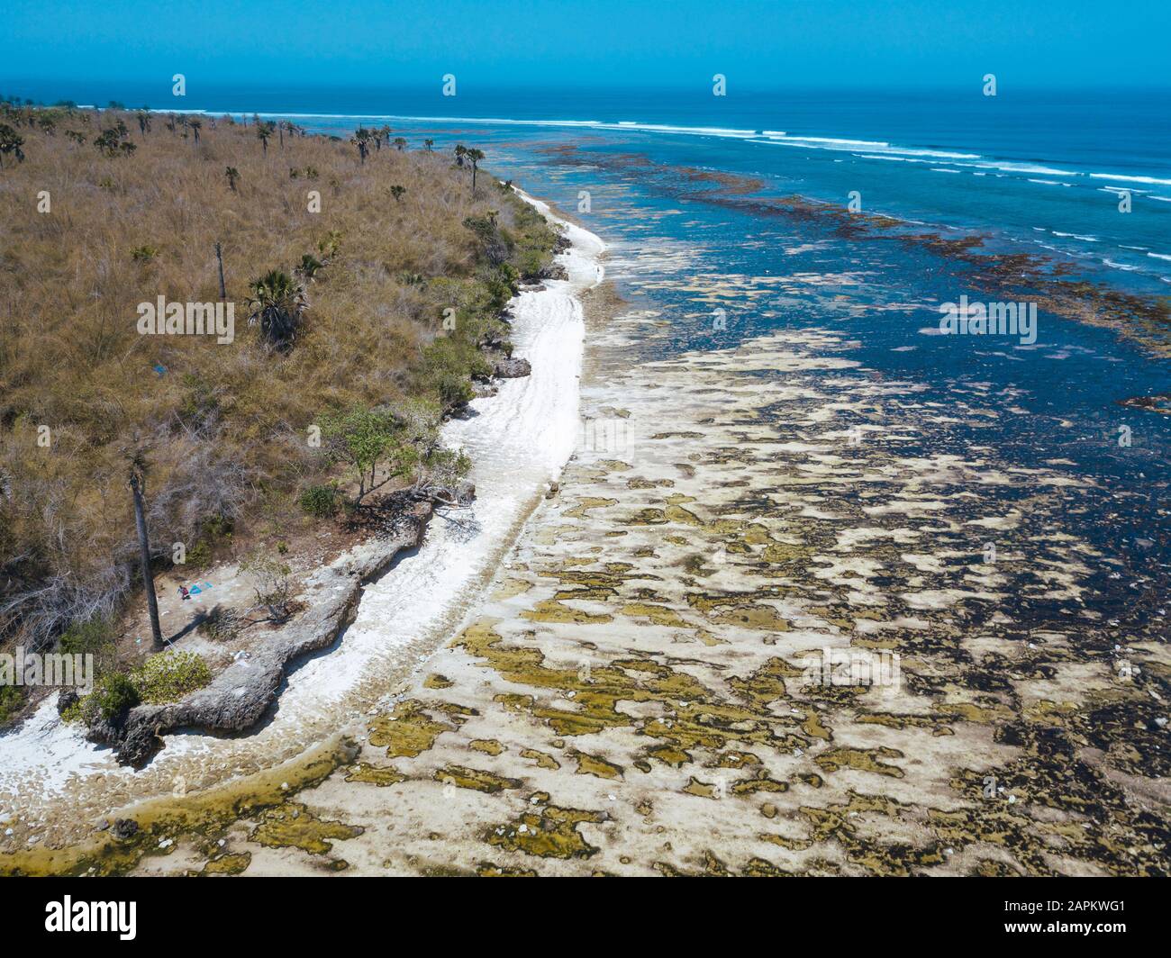 Indonesia, veduta aerea della costa dell'isola di Giava Foto Stock