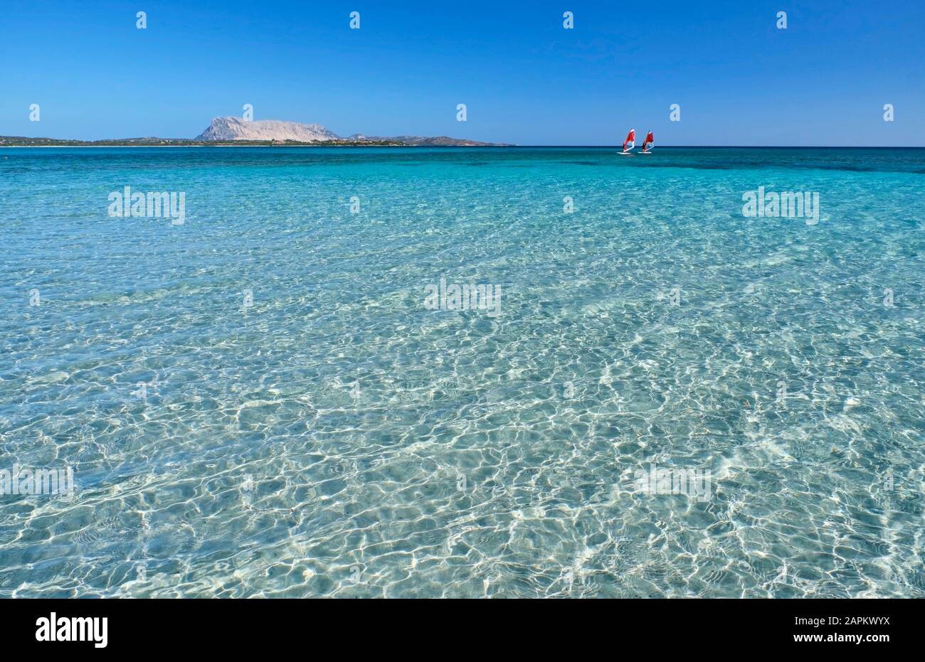 Italia, Provincia di Sassari, San Teodoro, acque costiere del Mar Mediterraneo in estate Foto Stock