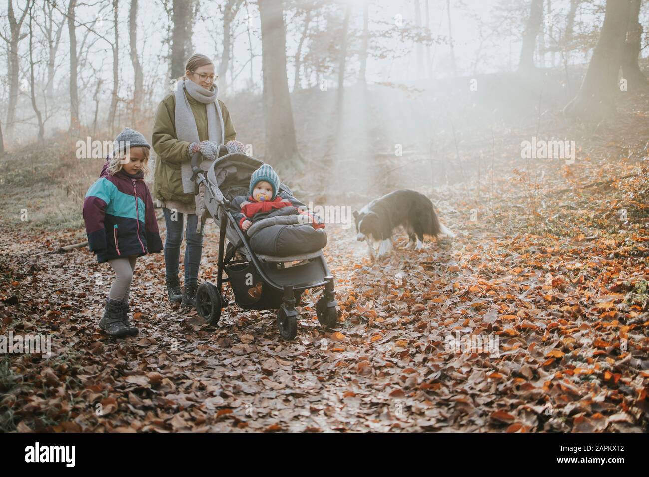 Madre con bambini e collie di confine durante la passeggiata nella foresta in autunno Foto Stock