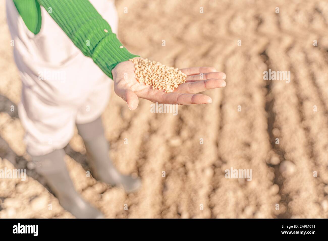 Giovane donna che semina il campo per il futuro Foto Stock