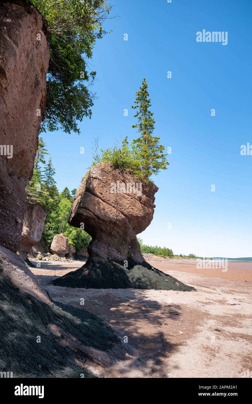 Canada, New Brunswick, Hopewell Rocks formazione a Bay of Fundy Foto Stock