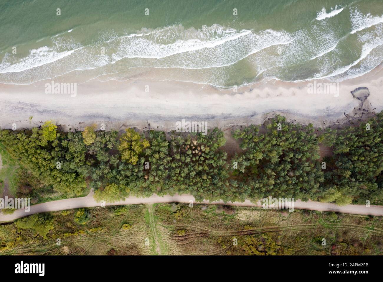 Russia, Kaliningrad Oblast, Zelenogradsk, veduta aerea della costa boscosa del Mar Baltico Foto Stock