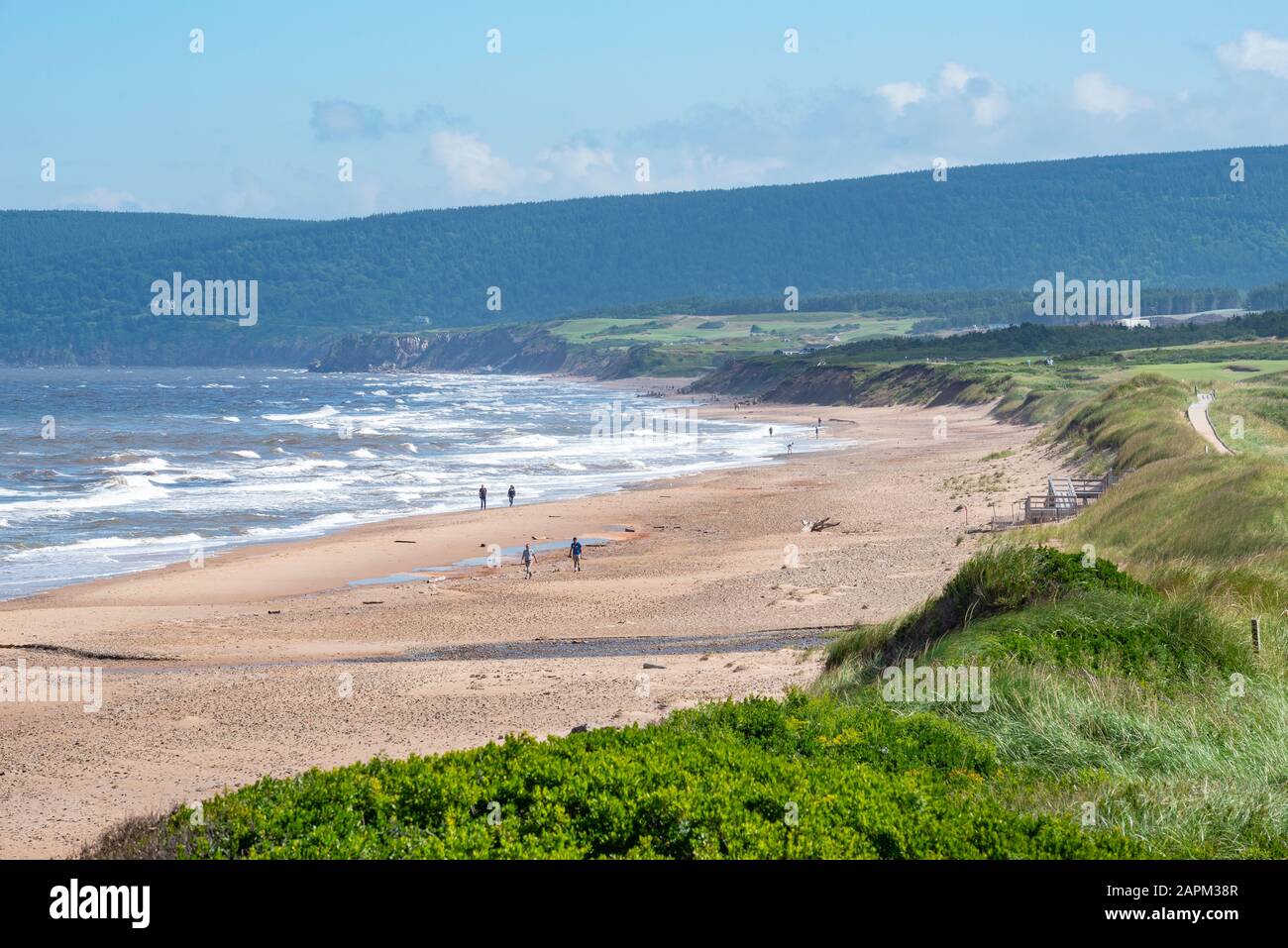 Canada, Nuova Scozia, Inverness, spiaggia costiera di Sandy di Cape Breton Foto Stock
