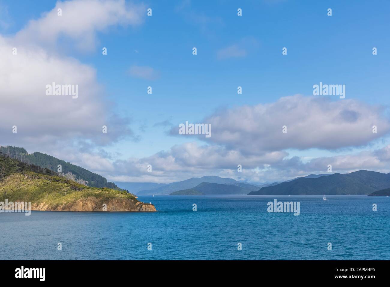 Nuova Zelanda, Marlborough Region, Picton, nuvole bianche estive sui suoni di Marlborough Foto Stock