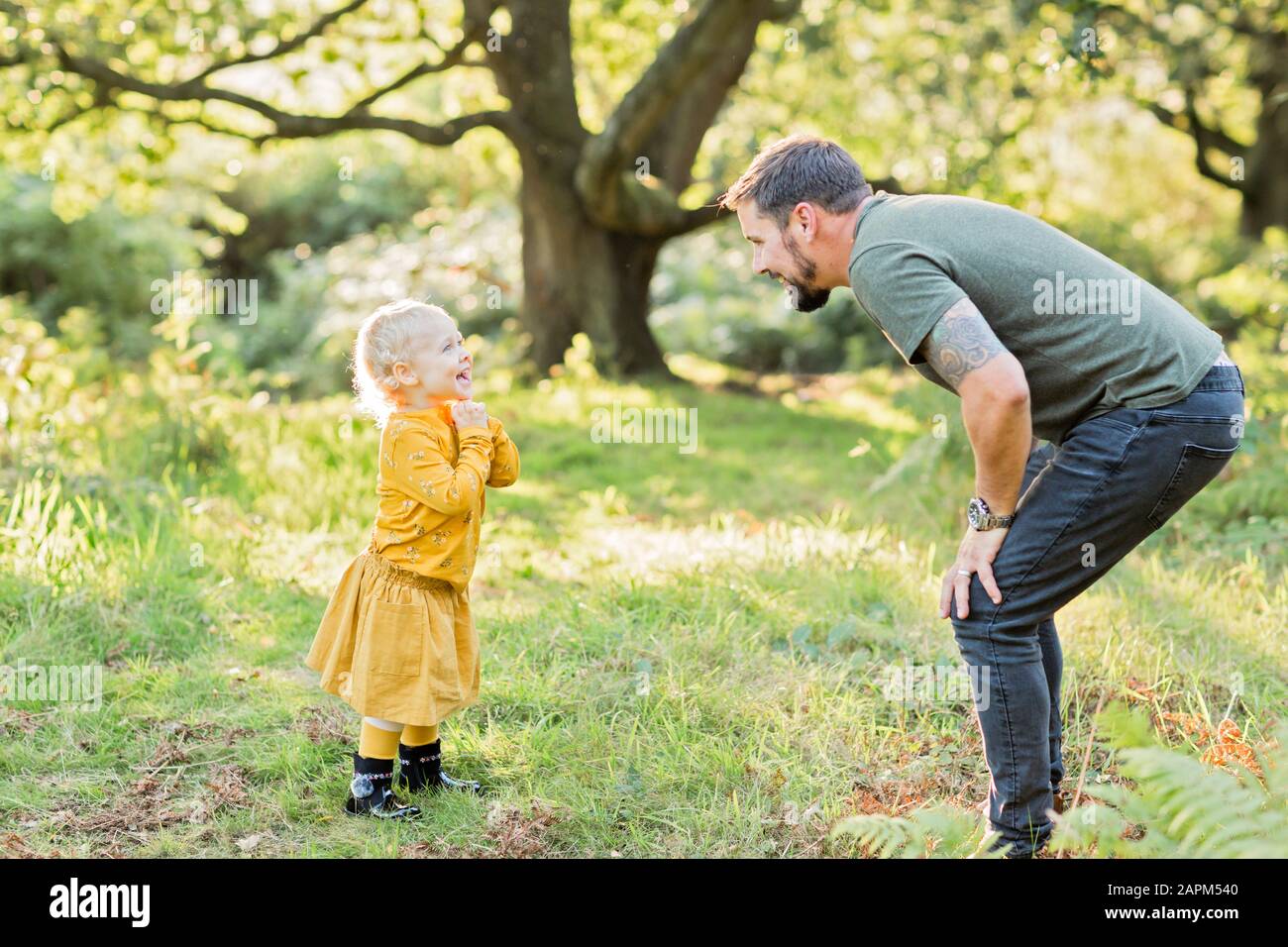 Padre e figlia piccola insieme su un prato Foto Stock