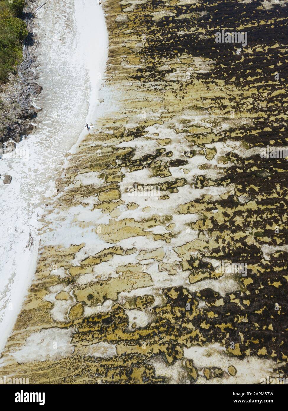 Indonesia, veduta aerea della costa dell'isola di Giava Foto Stock