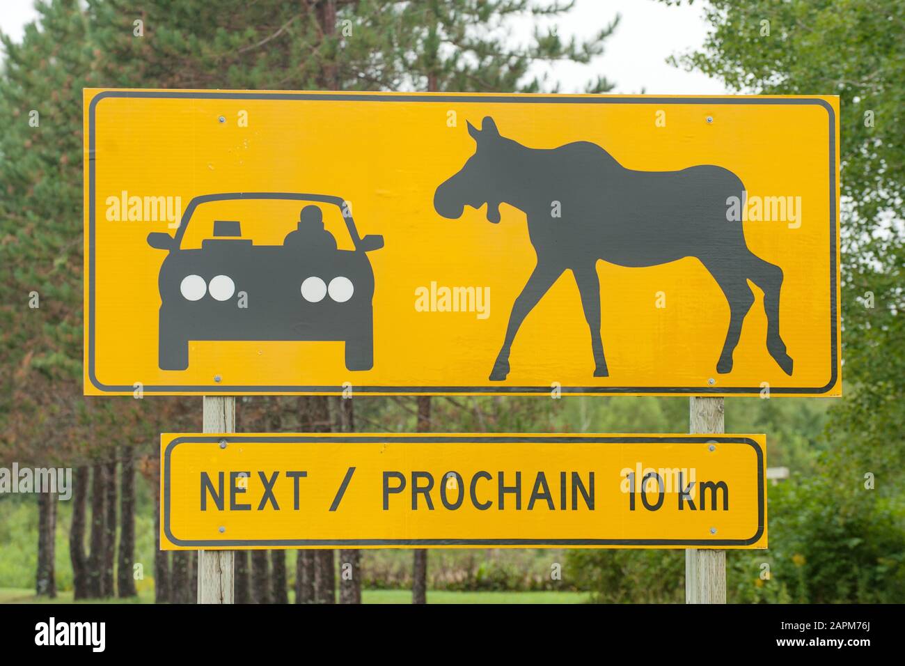 Segnale di avvertimento di alci che attraversano l'autostrada canadese in Nova Scotia, Canada Foto Stock