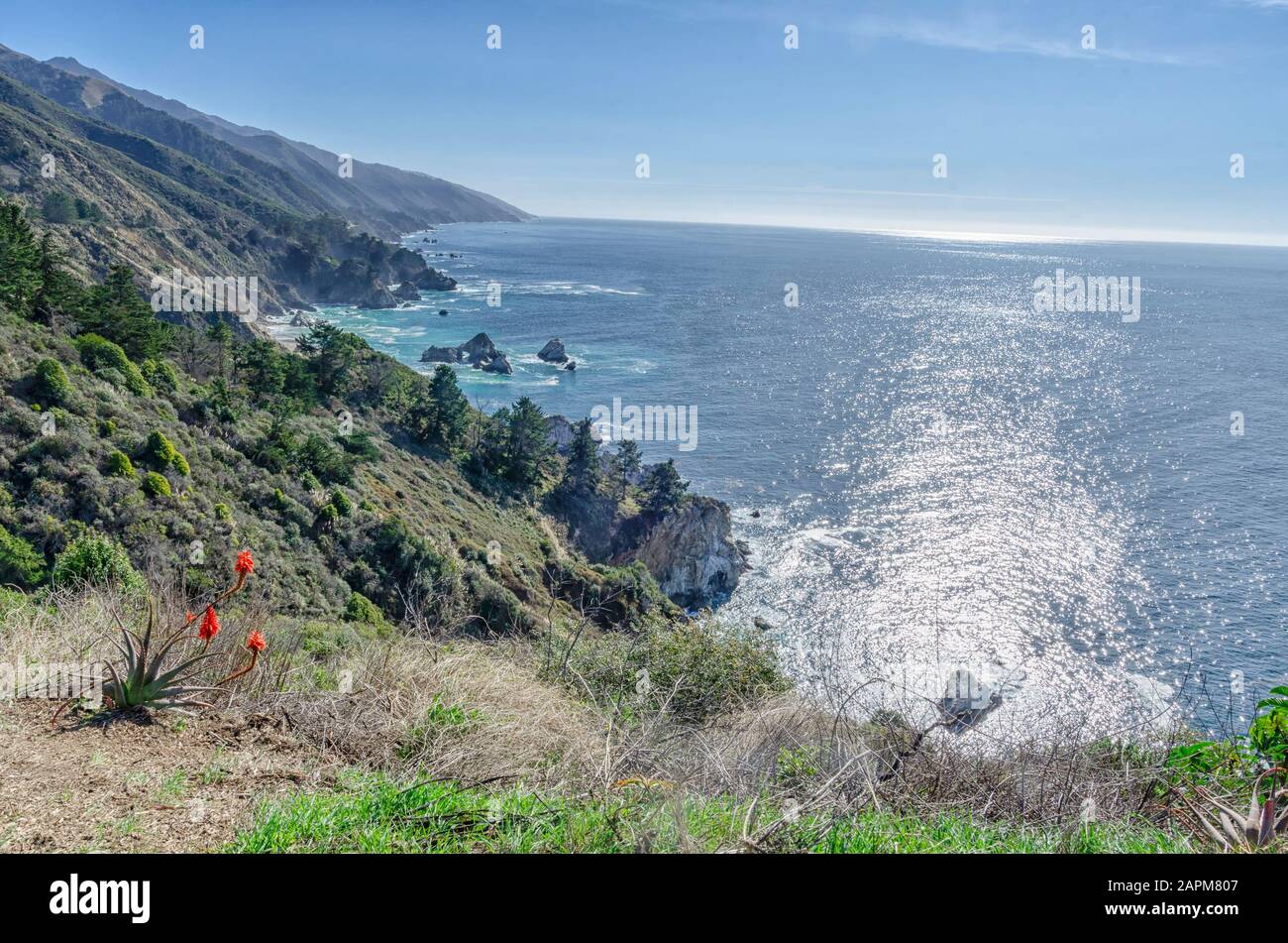 Le onde si infrangono sulle rocce di Big sur, California. Foto Stock