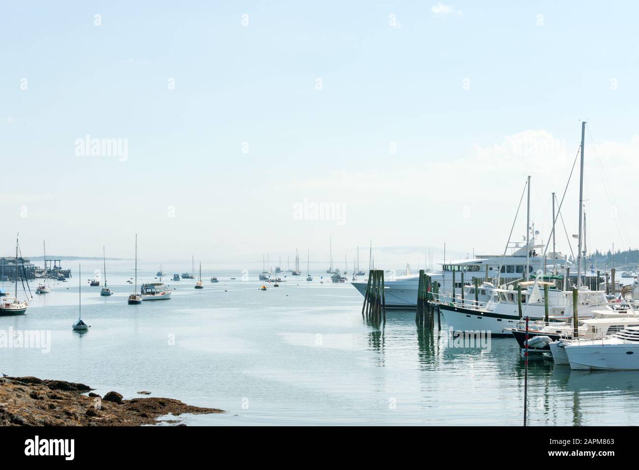 Barche da pesca ancorate a Bass Harbor con l'omonimo villaggio di Mist, Mount Desert Island vicino al parco nazionale Acadia, Maine, Stati Uniti Foto Stock