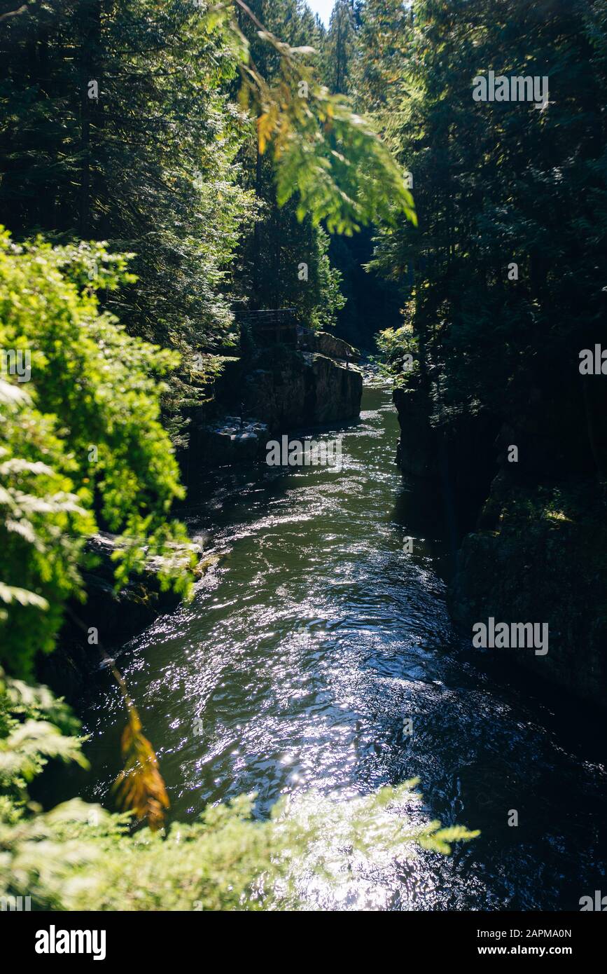 Fiume Capilano, Vancouver, Canada, attraversando una lussureggiante valle boscosa, con montagne sullo sfondo. Foto Stock