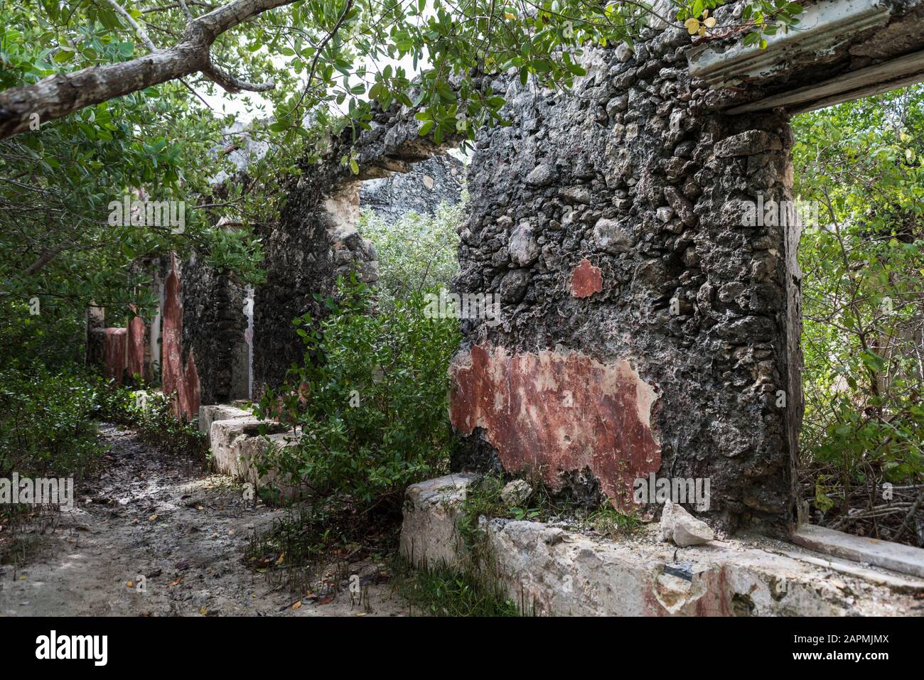 Antichi resti di ExHacienda Real de Salinas, dove si utilizzano per produrre sale. A Celestun nello stato dello Yucatan, Messico Foto Stock