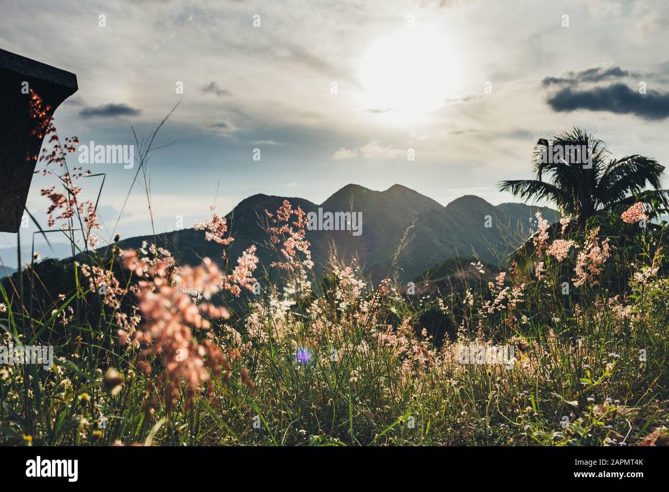 Bella vista sulle montagne nella luce del tramonto, alberi di palma, verde erba, nuvole nel cielo il sole sulle montagne. Luogo e tempo per medita Foto Stock