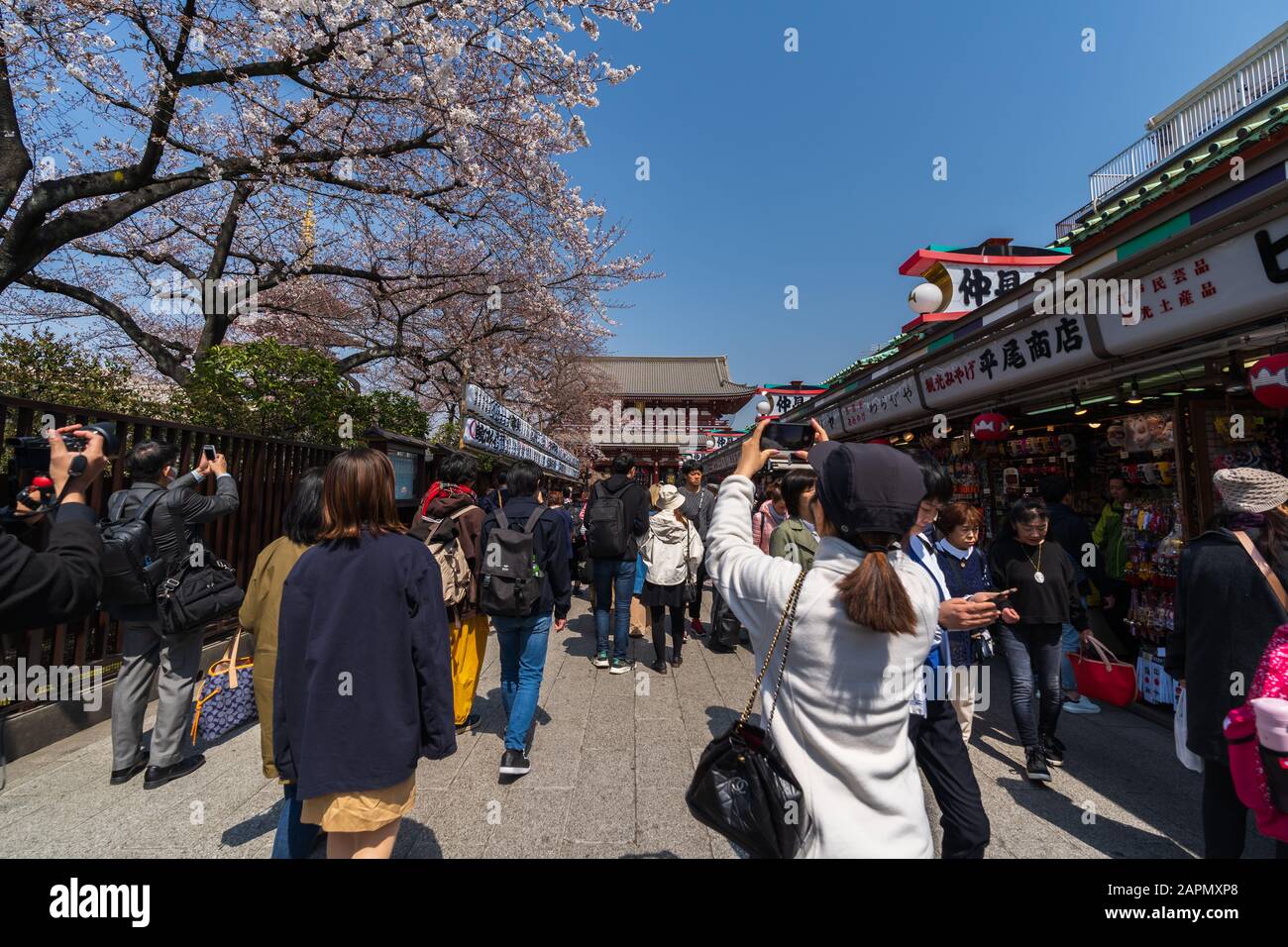 Tokyo, GIAPPONE - 27 marzo 2019: Persone non identificate visitano il tempio di Sensoji con fiore di ciliegio ad Asakusa, Tokyo, Giappone Foto Stock