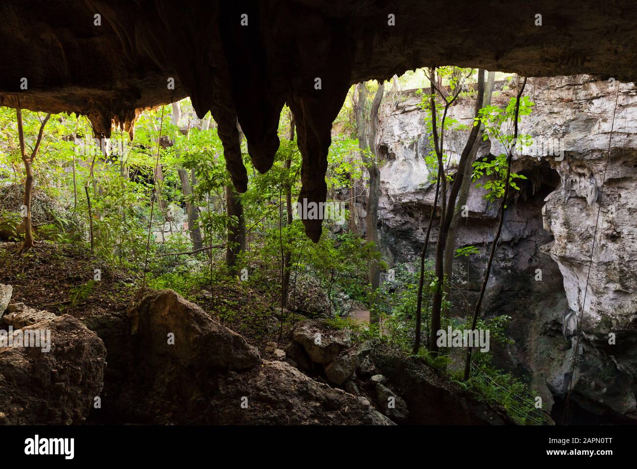 Grotta Los Tres Ojos O I Tre Occhi In Inglese. Stalattiti della grotta calcarea all'aperto situata nel parco Mirador del Este, a Santo Domingo Foto Stock