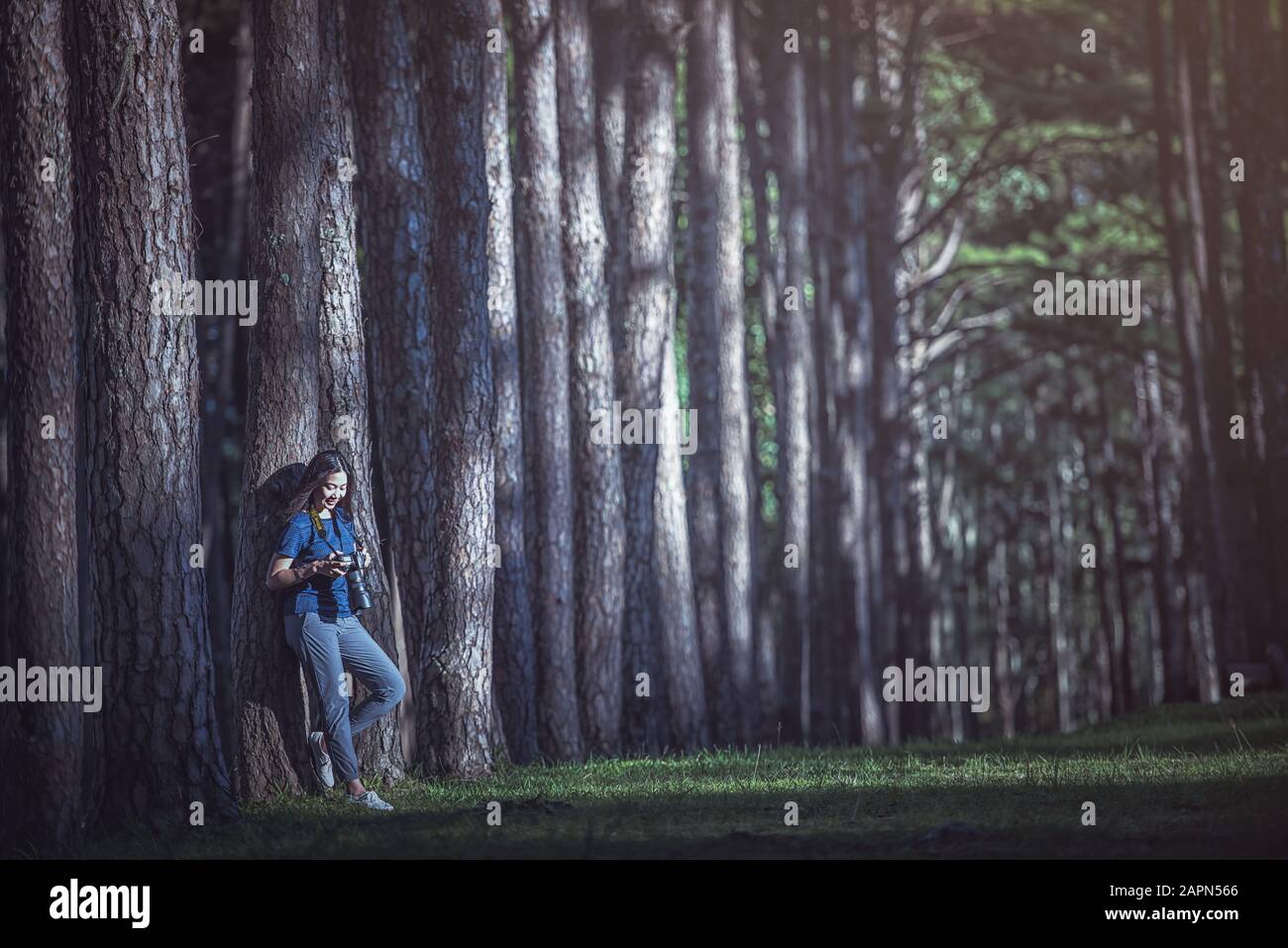 Fotografo donne asiatiche Viaggio fotografia natura. Viaggio relax nella foresta, Thailandia Foto Stock