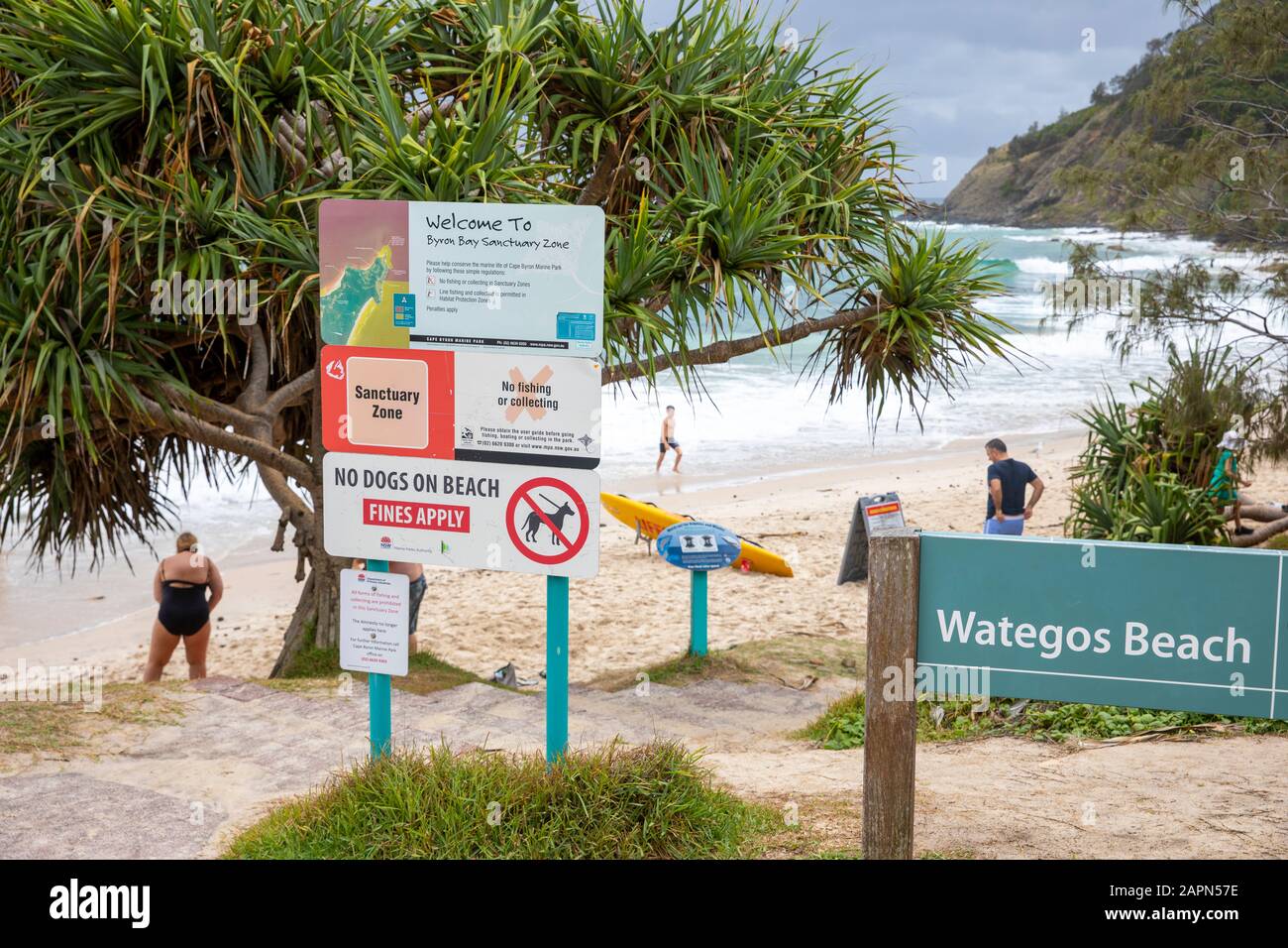 Byron Bay wategos spiaggia e vite pino albero pam in Byron Bay santuario baia, Nord nuovo Galles del Sud, Australia Foto Stock